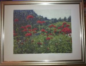 Palava rakkaus kehystetty